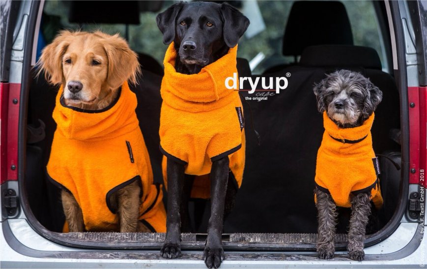 DryupⒸ Cape Clementine fit4dogs.de